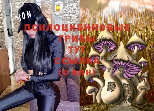 мяу мяу мука Верхний Тагил
