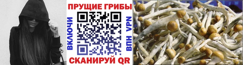 KRAKEN сайт  Старый Оскол  Псилоцибиновые грибы Psilocybine cubensis 